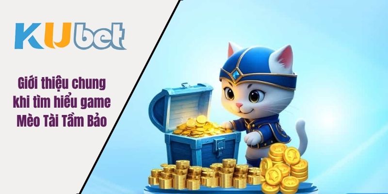 Mèo Tài Tẩm Bảo